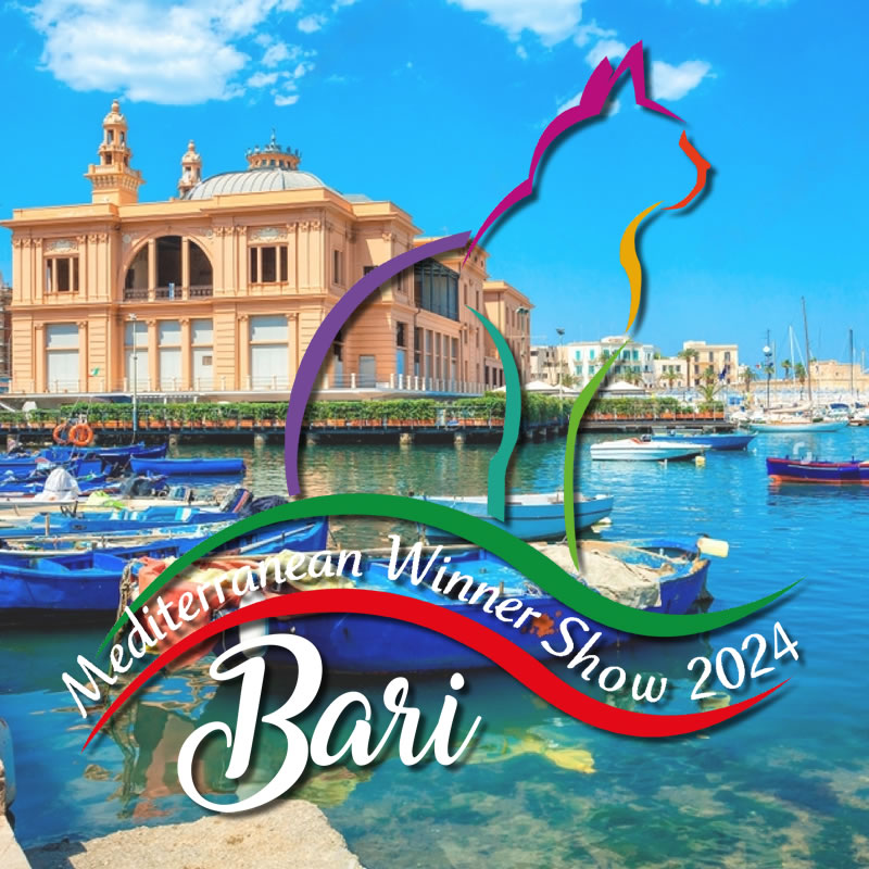 bari