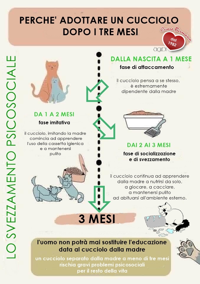 def psicocucciolo